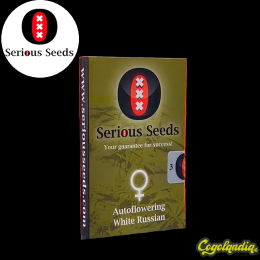 Auto White Russian - Serious Seeds Semillas autoflorecientes