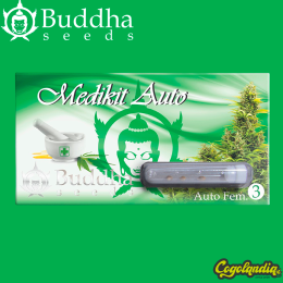 Medikit Auto CBD - Buddha Seeds Semillas autoflorecientes