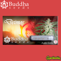 Buddha Deimos Auto - Buddha Seeds Semillas autoflorecientes