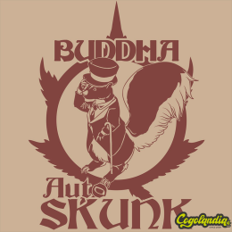 Buddha Auto Skunk - Buddha Seeds Semillas autoflorecientes