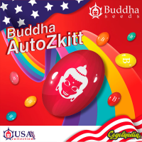 Buddha Auto Zkitt - Buddha Seeds Semillas autoflorecientes