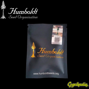 Sapphire OG - Humboldt Seeds