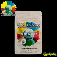 Purple Afghan Ryder Auto - World Of Seeds Semillas