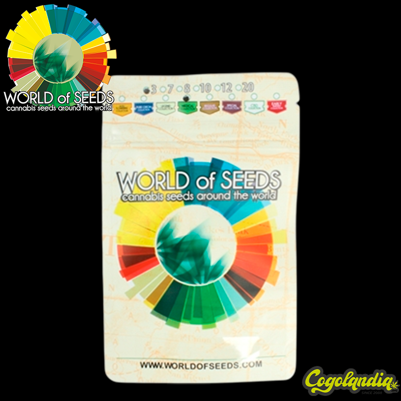 Colombian Gold Ryder Auto - World Of Seeds Semillas