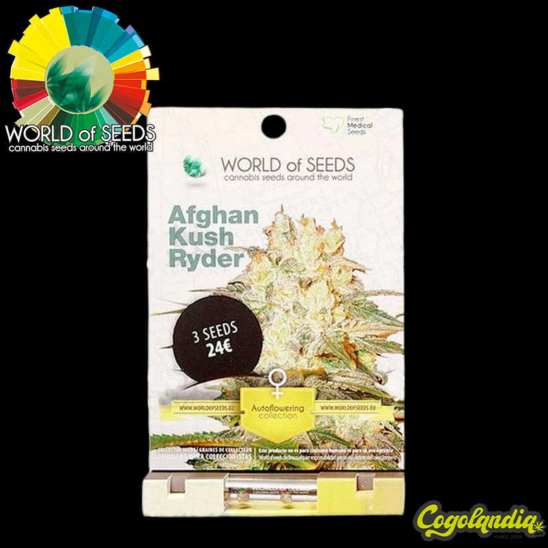 Amnesia Ryder Auto - World Of Seeds Semillas autoflorecientes