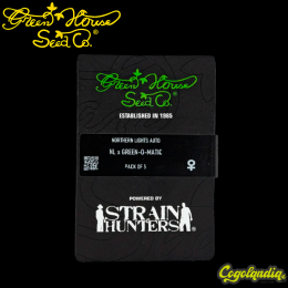 Northern Lights Auto - Green House