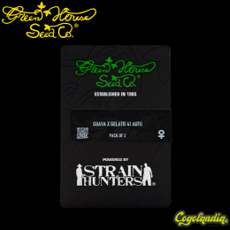 Guava X Gelato 41 Auto - Green House Seeds Semillas