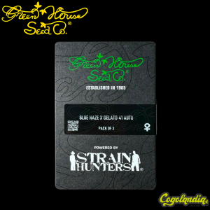 Blue Haze X Gelato 41 Auto - Green House