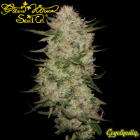 Highcloudz Auto - Green House Semillas autoflorecientes