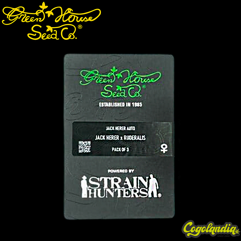 Jack Herer Auto - Green House Semillas autoflorecientes