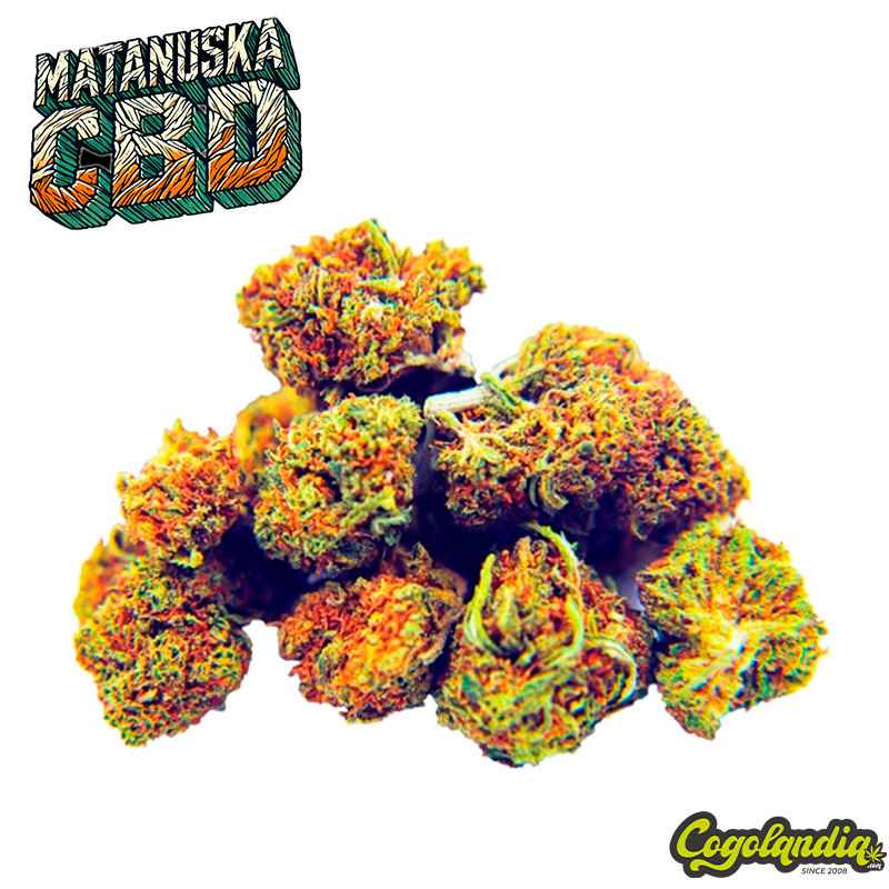 Small Buds GreenHouse Matanusca 10g - Gold CBD