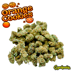 Small Buds GreenHouse Orange Cookies - Gold CBD