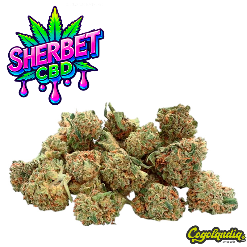 Small Buds GreenHouse Sherbet - Gold CBD