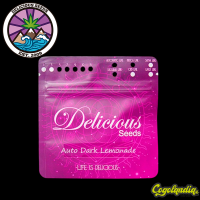 Dark Lemonade Auto - Delicious Seeds Semillas autoflorecientes