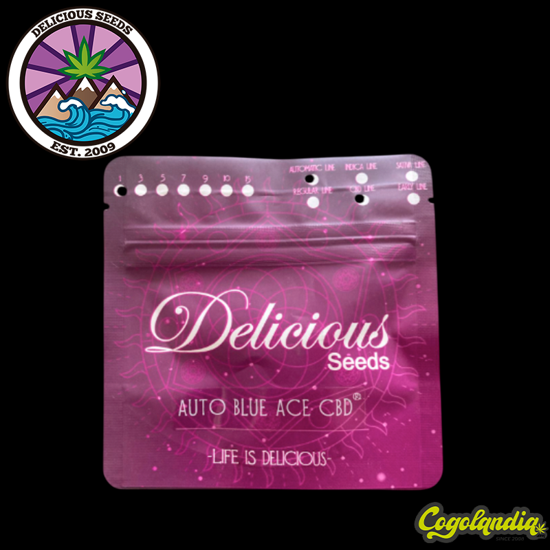 Blue Ace Auto CBD - Delicious Seeds