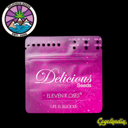Eleven Roses Auto - Delicious Seeds Semillas autoflorecientes