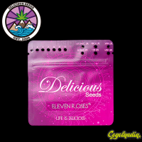 Elven Roses - Delicious Seeds