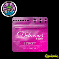 Il Diavolo Auto - Delicious Seeds Semillas autoflorecientes