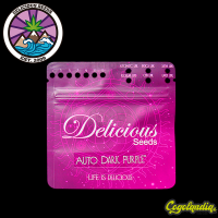 Dark Purple Auto - Delicious Seeds Semillas autoflorecientes
