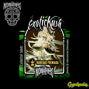 Exotic Kush - The Kush Brothers