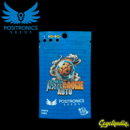 Mystic Cookie Auto - Positronics Semillas autoflorecientes