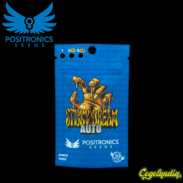 Sticky Dream Express - Positronics