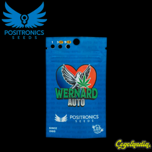 Wernard Express - Positronics