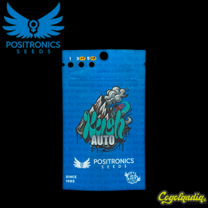 Kush Auto - Positronics Semillas autoflorecientes