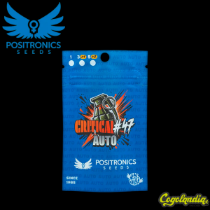 Critical n47 Express - Positronics