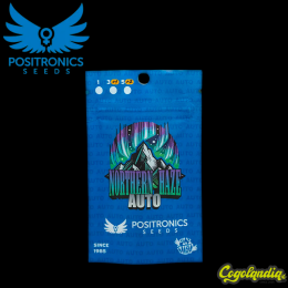 Northern Haze Express - Positronics