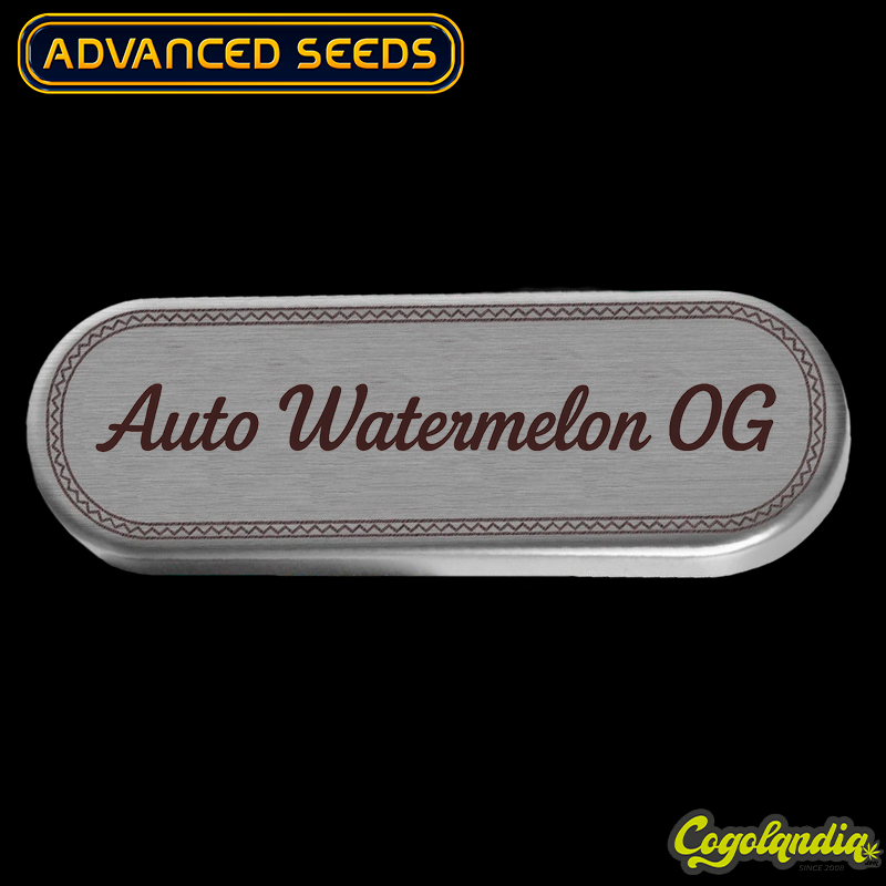 Auto Watermelon OG - Advanced Seeds