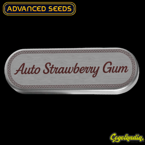 Auto Strawberry Gum - Advanced Seeds