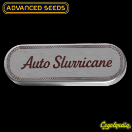 Auto Slurricane - Advanced Seeds