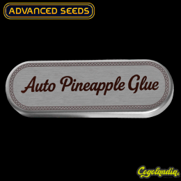 Auto Pineapple Glue - Advanced Seeds