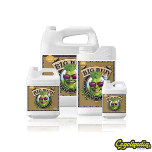 Big Bud Coco - Advanced Nutrients Abonos y Fertilizantes