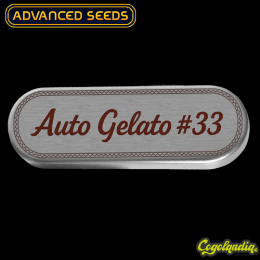 Auto Gelato 33 - Advanced Seeds