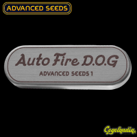 Auto Fire DOG - Advanced Seeds Semillas autoflorecientes