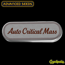 Auto Critical Mass - Advanced Seeds Semillas autoflorecientes