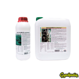 Bachumus Ecohemp Crecimiento - Trabe
