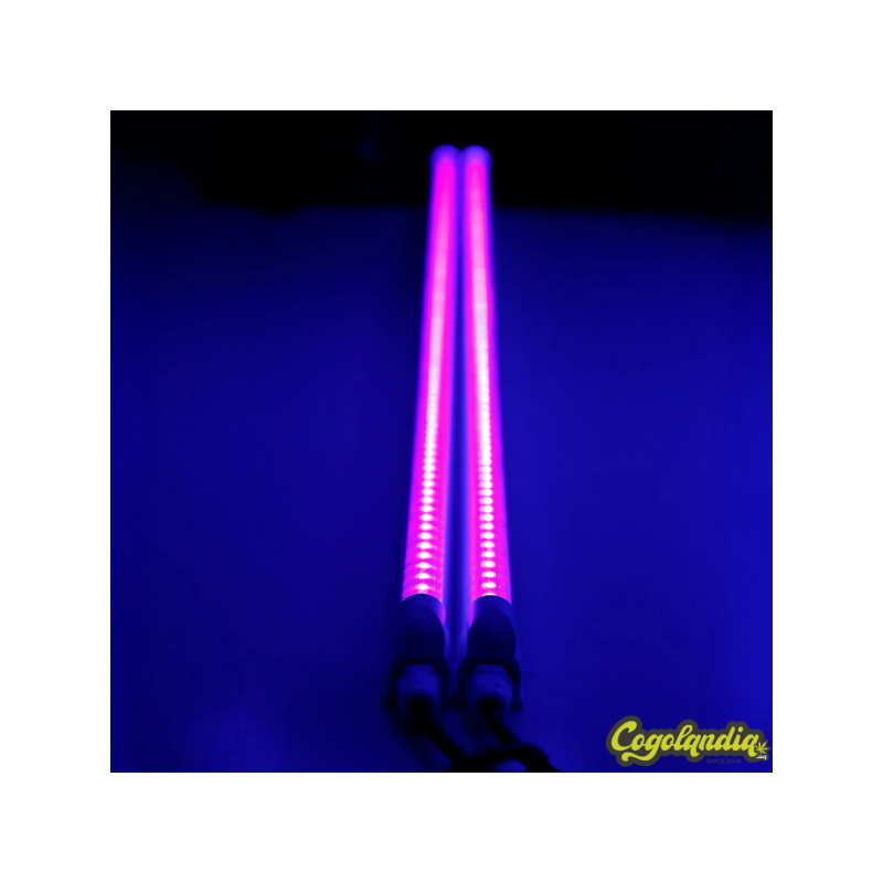 UV Twins - Agrolite Iluminación LED