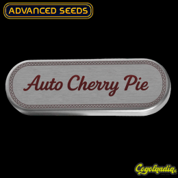 Auto Cherry Pie - Advanced Seeds