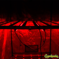 NIR Twins - Agrolite