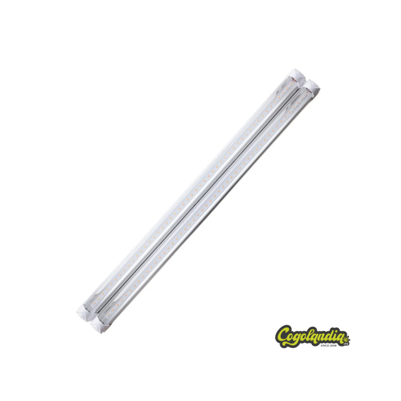 CB10 Twins - Agrolite