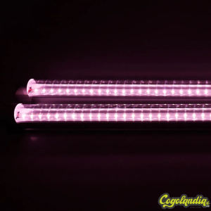 CB10 Twins - Agrolite