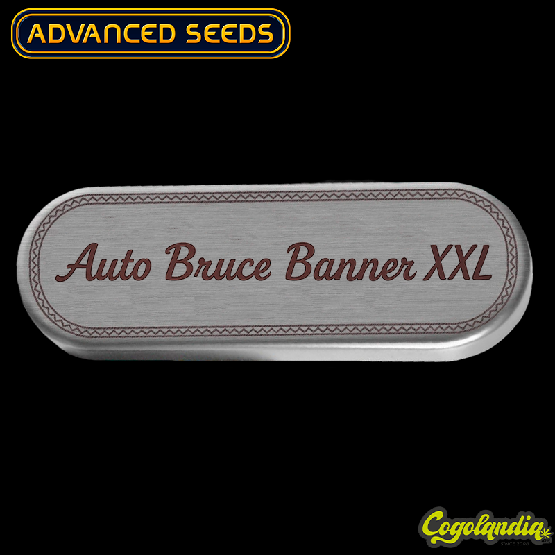 Auto Bruce Banner XXL - Advanced Seeds