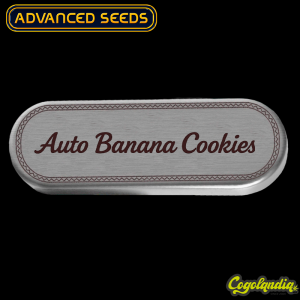 Auto Banana Cookies - Advanced Seeds