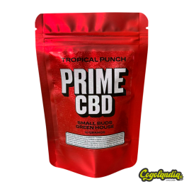 Small Buds Green House Tropical Punch - Prime CBD