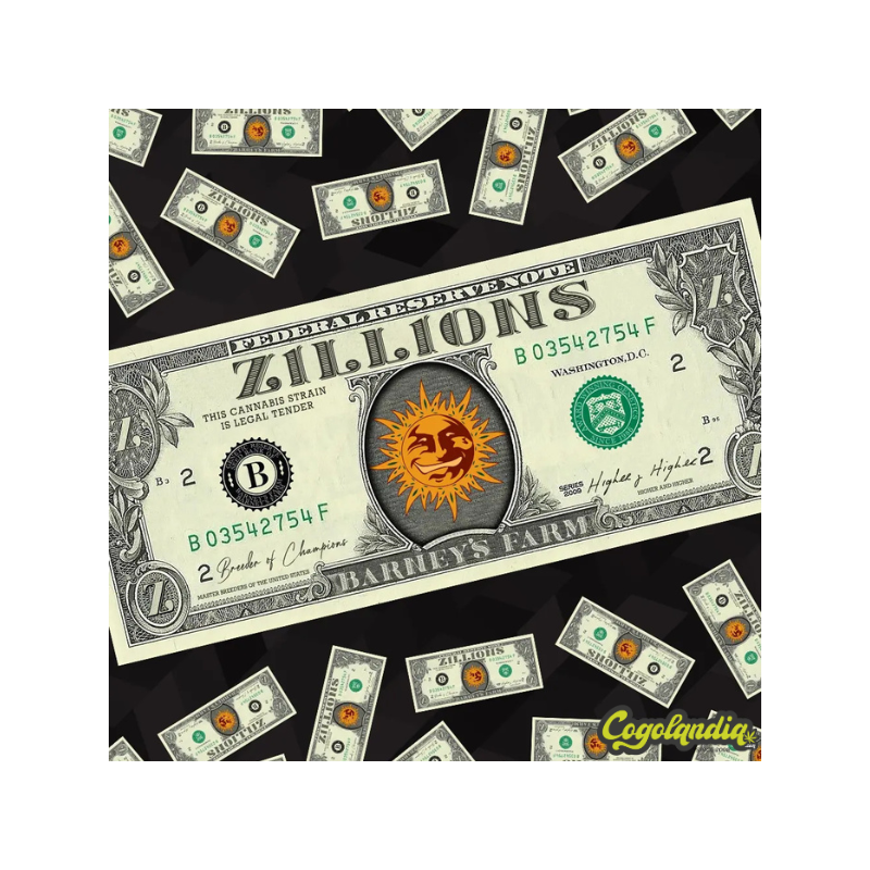 Zillions - Barney's Farm Semillas Feminizadas