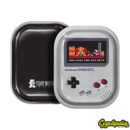 Bandeja Metal Pequeña G Boy - Teddi Montana Accesorios para