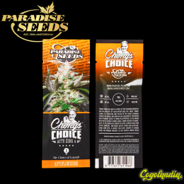 Auto Kong 4 - Paradise Seeds